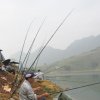 Phượt câu TQ (tiếp)